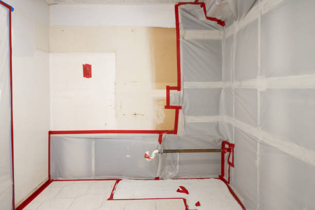 Reliable Prien, LA Mold Removal Solutions